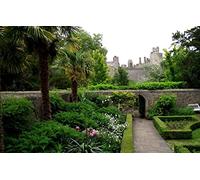 GLHUIOZ Puzzle de 500 Piezas para Adultos,Rompecabezas clásicos,Castillo,Jardines de Rosas del Castillo de Arundel,Reino Unido,52x38cm