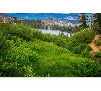 GLHUIOZ Puzzle de 500 Piezas para Adultos,tivo Puzzle,Puzzles para Adultos y Niños California,Estados Unidos,Parque Nacional de Yosemite,52x38cm