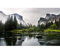 GLHUIOZ Puzzle de 500 Piezas,Puzzle para Adultos,Impossible Rompecabezas,Colorido Juego de Habilidad para Toda la Familia,Estados Unidos,Mariposa,52x38cm