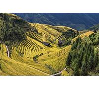 GLHUIOZ Puzzle,de 500 Piezas,Rompecabezas DIY,Pasatiempo,Regalo,Diversión China,Condado de Longsheng,Campos de arroz en terrazas,52x38cm