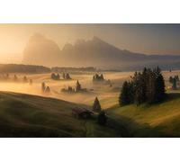 GLHUIOZ Puzzle de 500 Piezas,Rompecabezas para Adultos,Rompecabezas Impossible,Juego de Habilidad para Toda la Familia,Rompecabezas Colorido,Bosque,Dolomitas,Alpe Di Siusi,52x38cm