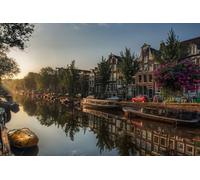 GLHUIOZ Puzzle Todos Estan Locos aquí, 500 Piezas, Puzzle Adultos Amaneceres en Ámsterdam, Países Bajos 52x38cm