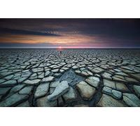 GLHUIOZ Puzzle Todos Estan Locos aquí,500 Piezas,Puzzle Adultos Costa,Países Bajos,52x38cm