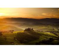 GLHUIOZ Puzzle Todos Estan Locos aquí,500 Piezas,Puzzle Adultos Italia,San Quirico D'Orcia,52x38cm