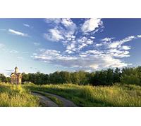 GLHUIOZ Puzzle Todos Estan Locos aquí,500 Piezas,Puzzle Adultos Paisajes,52x38cm