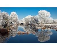 GLHUIOZ Puzzle Todos Estan Locos aquí,500 Piezas,Puzzle Adultos Paisajes,52x38cm