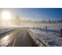 GLHUIOZ Puzzle Todos Estan Locos aquí,500 Piezas,Puzzle Adultos Paisajes,52x38cm