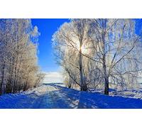 GLHUIOZ Puzzle Todos Estan Locos aquí,500 Piezas,Puzzle Adultos Paisajes,52x38cm