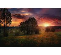 GLHUIOZ Puzzle Todos Estan Locos aquí,500 Piezas,Puzzle Adultos,Suiza,52x38cm