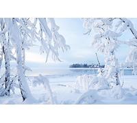 GLHUIOZ Puzzles para Adultos,Puzzle de 500 Piezas,Obra de Arte de Juego de Rompecabezas para Adultos,Definición Multicolor Canadá,Territorios del Noroeste,Kakisa,52x38cm