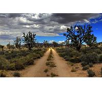 GLHUIOZ Puzzles para Adultos,Puzzle de 500 Piezas,Obra de Arte de Juego de Rompecabezas para Adultos,Definición Multicolor Desierto,Estados Unidos,Mojave,52x38cm