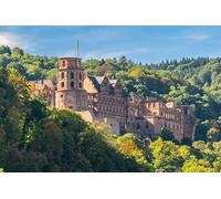 GLHUIOZ Puzzles Rompecabezas para Adultos 500 Piezas Madera Rompecabezas s para Adultos Niños Juegos Educativos s Ruinas de Alemania 52x38cm