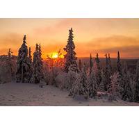 GLHUIOZ Rompecabezas 500 Piezas Adultos Madera Puzzle Niños s tivos para Moderna para El Hogar Decoración, Finlandia,52x38cm