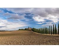 GLHUIOZ Rompecabezas de Madera,1000 Piezas,Bonito Paquete de Regalo,Forma Única Mejor Regalo para Adultos y Niños Italia,Belleza,Val D'Orcia,75x50cm