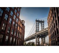 GLHUIOZ Rompecabezas de Madera, 500 Piezas, Bonito Paquete de Regalo, Forma Única Mejor Regalo para Adultos y Niños Ciudad de Bridges USA 52x38cm