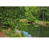 GLHUIOZ Rompecabezas de Madera de 500 Piezas Colorida Juegos de Rompecabezas de Adulto,Estados Unidos,Campo de béisbol,Jardines Gibbs,52x38cm