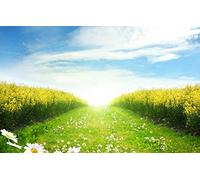 GLHUIOZ Rompecabezas en Miniatura de 1000 Piezas para Adultos Puzzle Brain Ejercicio Desafío Juego de Alta dificultad Regalo para niños Niños,Manzanilla,Diente de león,75x50cm