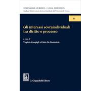 Gli interessi sovraindividuali tra diritto e processo (Dimensione giuridica. Legal dimension)