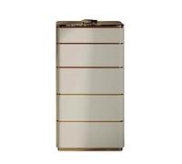 GLigeT Multifunción Cómoda de 5 cajones, gabinete Almacenamiento encimera mármol for Maquillaje, cajonera Alta Cuero Microfibra for Armario y Dormitorio