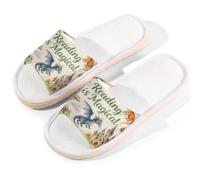 Glilade Pantuflas de casa para mujeres y hombres, antideslizantes, para interiores, puntera abierta, transpirables, de verano, para dormitorio, libros de lectura de dragón, Dragon Read Books, 11/11.5