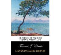 Glimpses of an Irish felon's prison life