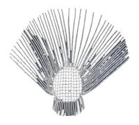 Glitter Rhinestone Long Fringed Hair Chain Headband Hat Stage Performance for Women Headpiece Head Chain para ocasiones especiales y festivales(Silver)