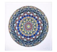 GLKFWVX Póster de Damien Hirst Pop, diseño de mariposa circular, arte de pared, impresión de Damien Hirst, lienzo para decoración del hogar, 40 x 40 cm, sin marco