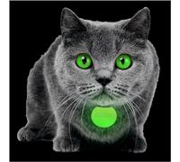 GLO-X Etiquetas brillantes para collar de gato, las etiquetas brillantes más potentes del mundo que brillan en la oscuridad para mantener a tus gatos seguros por la noche, mejoran la visibilidad para