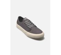 Globe Goodstock 44 Gris