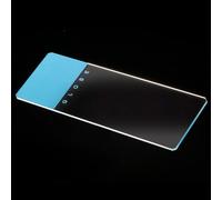Globe Scientific Microscope Slides, 1324B, Blue Frosted, Soda Lime Glass, Ground Edges, Safety Corners, 25mm x 75mm, Pre-Cleaned, 72/Box, 1440/CS