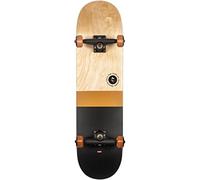 Globe Skateboard Multicolor
