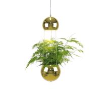 Globen Lighting Lámpara de techo con maceta Planter latón