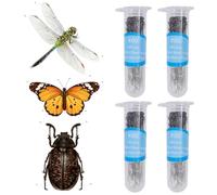GLOBLELAND 400 pines de acero inoxidable para insectos, tamaño 0, para la colección de muestras, escarabajos, mariposa, escarabajo, disección de montaje