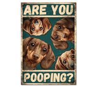 GLOBLELAND Cartel de Hojalata Vintage Dachshund are You Pooping 8×12 pulgadas Cartel Retro de Perros de Hojalata para Puerta de Habitación Pintura Artística Placa Póster Decoración de Pared para Hogar