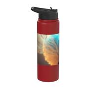 Globo de nieve del espacio exterior el símbolo del infinito Stainless Steel Insulated Water Bottle