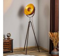 Globo Lámpara de pie oxidada trípode Xirena I