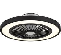 Globo Lighting Blizzak lámpara de techo con ventilador 1x45 W blanco-negro 03653