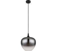 Globo Lighting Maxy lámpara colgante 1x40 W negro-humado 15548H1