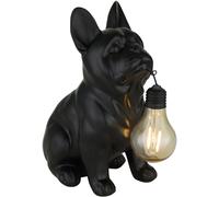 Globo Lighting Solar lámpara de pie 1x0.06 W negro 36333S