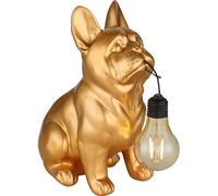Globo Lighting Solar lámpara de pie 1x0.06 W oro 36333G