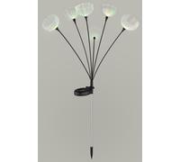 Globo Lighting Solar lámpara solar de pie 6x0.1 W transparente 36091
