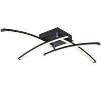 Globo Lighting Tansy I lámpara de techo 1x24 W negro-ópalo 67129-24