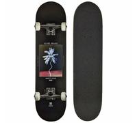 Globo Palm Off Black 8" Tabla Completa