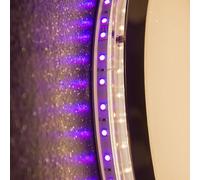 Globo Plafón LED Nicole II con control remoto True