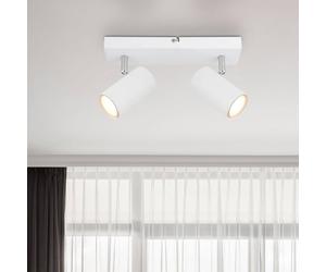 Globo Robby downlight de techo, blanco, longitud 26 cm, 2 luces, metal
