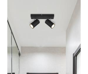Globo Robby downlight de techo, negro, longitud 26 cm, 2 luces, metal