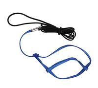 GLOGLOW Arnés y Correa, Cuerda de Tracción de Entrenamiento Volador para Gris Africano de Cacatúa y Más Arnés Correa, Pájaro Ajustable Nan Al Aire Libre (S)