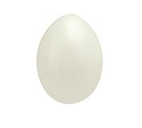 GLOREX 6 2250 110 Poly Pascua, plástico;, Color Blanco, 70 x 30 x 15 cm