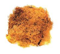 GLOREX 6 3803 609" Islandmoos Juguete, Naranja
