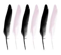 Glorex 6 3822 002 - Pluma india 16 cm aprox.15 piezas negro/blanco